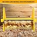 Heating Brooder Plate for Chicks Ducklings, Adjustable Brooder House for Keeping Poultry Warm(Yellow, M)