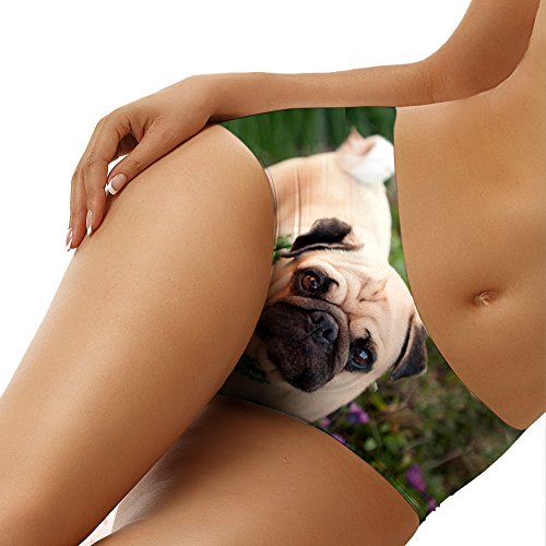 Image of Dellukee Sexy Women Underwear Briefs Breathable Hipster Panty White Alpaca Print