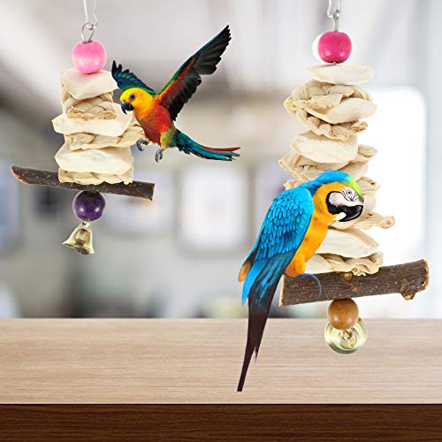 POPETPOP 2Pcs Natural Cuttlebones Cuttlebones Dentes Molar Toy Chew Toy Gaiola de Pássaro Pássaro de