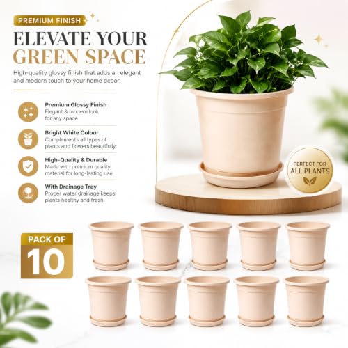 Image of 12 Inch Glossy Plastic Planter with Bottom Plate | Heavy Duty Flower Pot with Tray for Indoor Home Decor, Balcony, Living Room & Outdoor Garden (10 Pot, Blush Pink Sparkle)