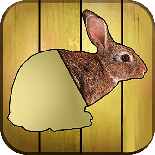 Animated Puzzles [Download]