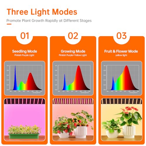 Indoor Greenhouse with Grow Lights, 4 Tier 27.2" L×19.9" W×61.8" H Mini Greenhouse with Zippered PVC Cover for Seed Starting Trays, Dimmable 2FT 60W Plant Light for Indoor Plants with Timer