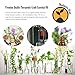 Natures-Star Lavender Essential Oil, 16 Ounce, Therapeutic Grade for Aromatherapy, Candle & Soap Making, Diffusers & Home, Lavender Oil
