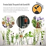 Lavender Essential Oil, 16 Ounce, Therapeutic Grade for Aromatherapy, Candle & Soap Making, Diffusers & Home, Lavender Oil - Image 3