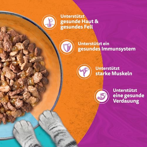 Whiskas Adult 1+ Katzennassfutter Tasty Duo Surf & Turf in Gelee, 84 Portionsbeutel, 84x85g (1 Großpackung) – Hochwertiges Katzenfutter nass, für ausgewachsene Katzen