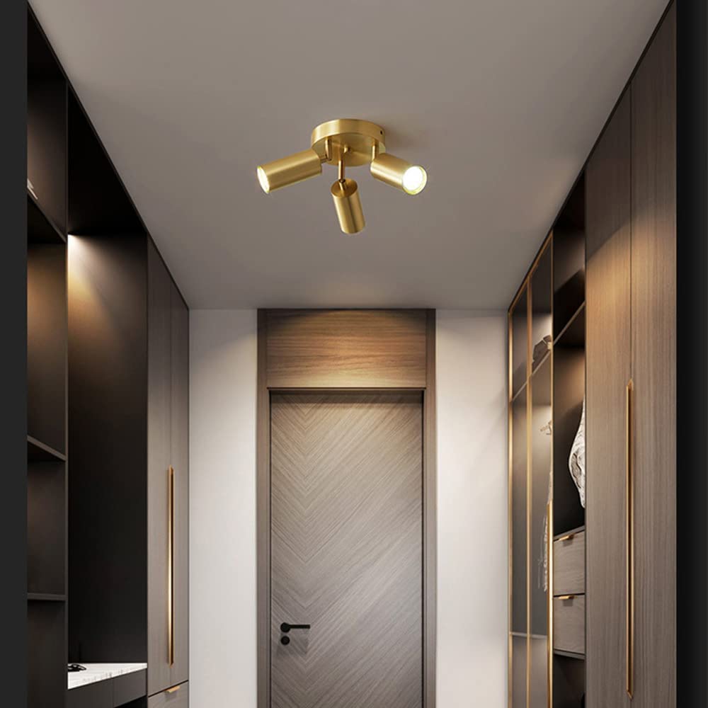 Spots encastrés LED pour Plafond, plafonnier Rond en cuivre, kit d'éclairage sur Rail Fixe, pour Chambre, Cuisine, Salon, Bureau (3 lumières)