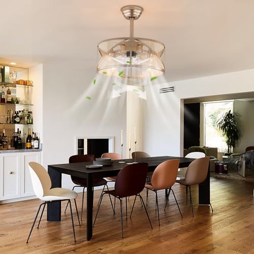LOYALHEARTDY-Gold-Fandelier-Ceiling-Fan-18in-6-Speed-Enclosed-Caged-Ceiling-Fan-with-Lights-Remote-Control-Antique-Gold-Ceiling-Fan-Boho-Rattan-Caged-Ceiling-Fan-Light-Downrod-Mount-URF4I86GRFI8W