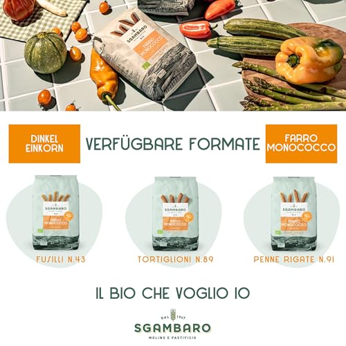 Sgambaro Bio-Pasta Penne Rigate N.91 - 500 g Nudeln aus Einkorn – Fettarm - Quelle von Ballaststoffen und Eiweiß