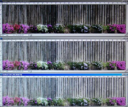 Extremely disappointed