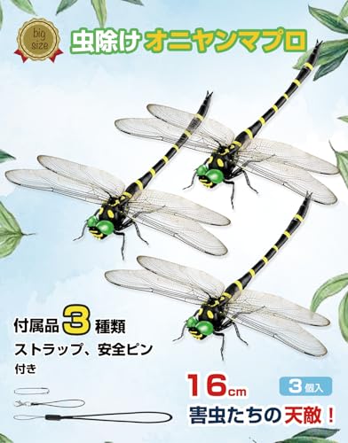 16cm Ij}v  g{N Ki x {ƂقړTCY  I悯 g{ PVCގ   ނ   x_ Ԍ  oR kނ Lv AEghA OƉp (CGubN[3)