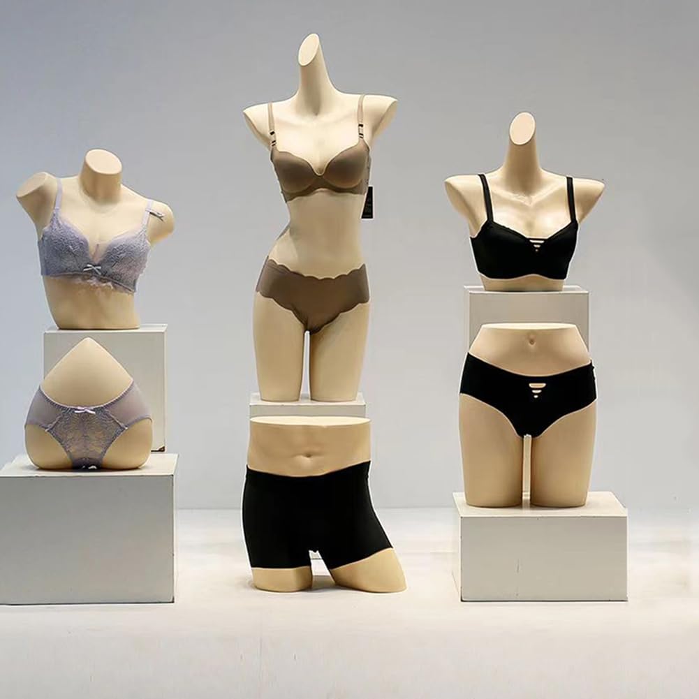 婦人 下着 モデル 