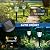 GIGALUMI 8 Pack Solar Outdoor Lights, Bright Solar Pathway Lights with Great Pattern, Waterproof Auto On/Off Solar Lights for Outside Garden Walkway Driveway Lawn Pathway