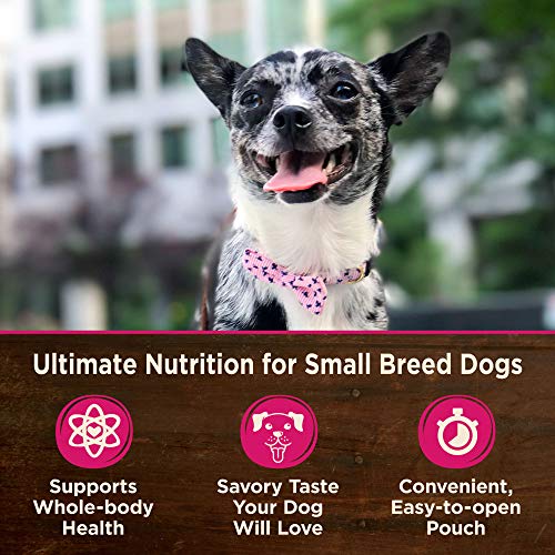 Wellness 6602 Core Natural Grain Free Small Breed Mini Meals Wet Dog Food, Shredded Chicken & Turkey Dinner In Gravy thumb #3