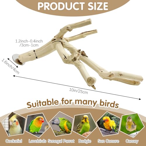 Image of kathson Bird Perch Stand 10 inch-12 inch Nature Wood Stand Toy Parrot Cage Branch Paw Grinding Fork Parakeet Platform for Parakeets Cockatiels Conures Finches Love Birds(Small)
