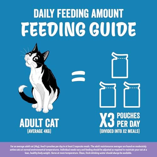 FELIX Original Mixed Selection in Jelly Wet Cat Food 120x85g - View 8