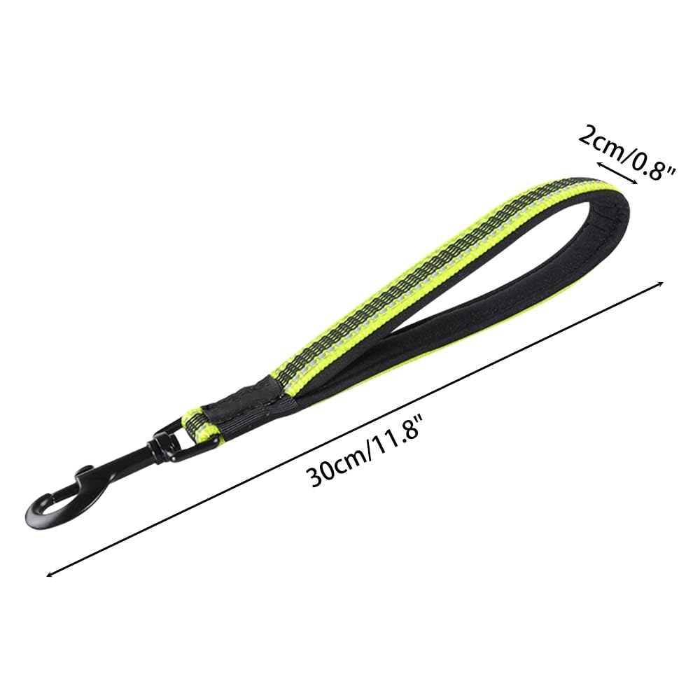 Kurze Hundeleine – 38cm, Nylon, Reflektierend, Gepolsteter Griff, Für Kleine Bis Große Hunde