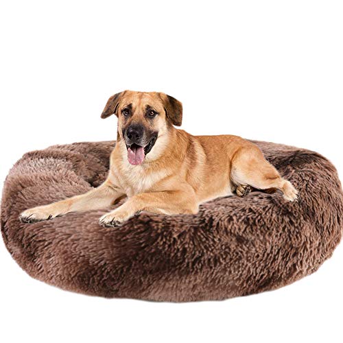 cama para perro walmart