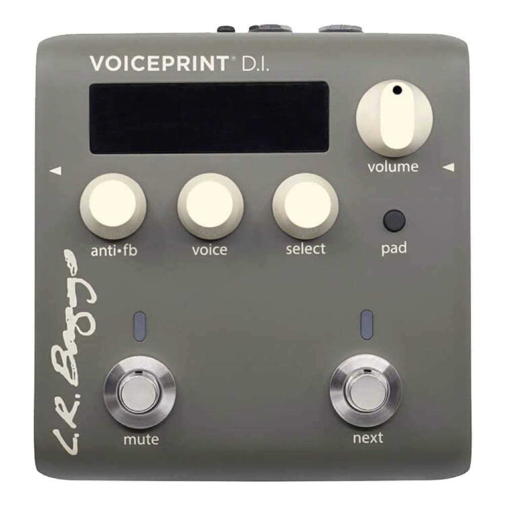 Amazon.co.jp: L.R.Baggs Voiceprint DI アコースティックギター用 