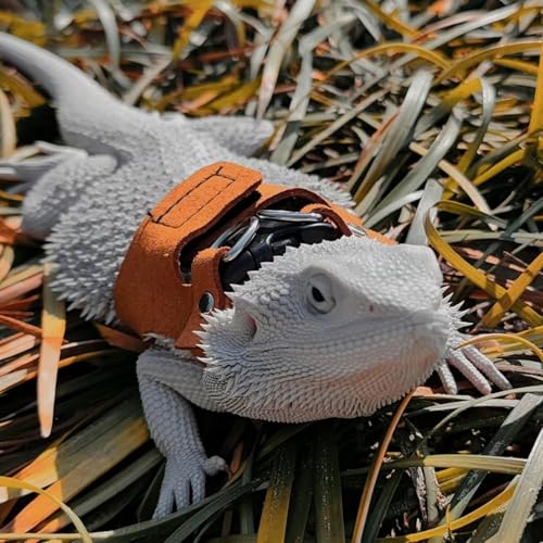 Image of 3PC Bearded Dragon Harness Leash Set Adjustable Soft Suede Leather Vest Harness with Traction Rope Outdoor Walking Escape-Proof for Reptile Lizard Squirrel Ferret (Brown)