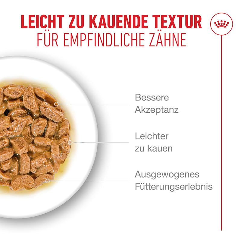 ROYAL CANIN AGEING 15+ Gravy | 12 x 85 g | Nassfutter für Katzen ab dem 15. Lebensjahr | Stückchen in Soße