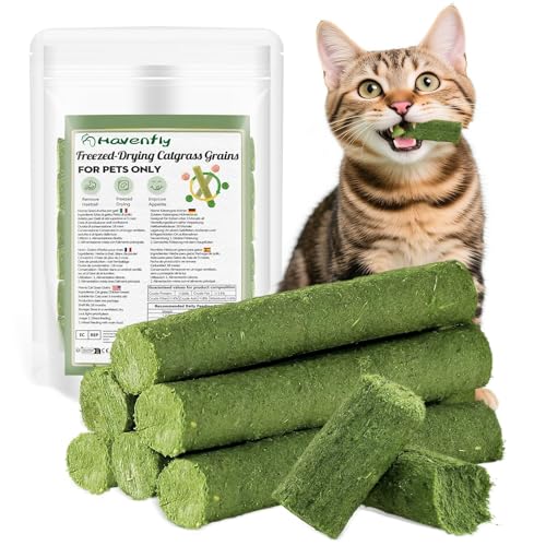 Havenfly Catnip Ball, Catnip Ball Toy, Catnip Toys (30g-A) Havenfly Catnip Ball, Catnip Ball Toy, Catnip Toys (30g-A)