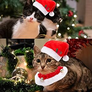   3-PCS-EZMeetU-Cat-Santa-Hat-with-Jingle-Bells-Collar-and-Bow-Tie-Christmas-Costume-Set-for-Cat-Adjustable-Xmas-Outfit-Suit-Clothes-for-Pets-Small-Dog-Puppy-Kitty-Xmas-Pet-Gift-Present
