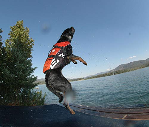 EzyDog Schwimmweste Hund - DFD Hundeschwimmweste - Schwimmwesten für für Kleine, Mittelgroße und Große Hunde - Rettungsweste mit Griff und Reflektoren, Größenverstellbar (L, Gelb)