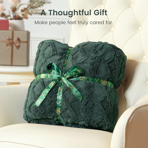 Image of Sherpa Fleece Adult Weighted Blanket Great for Sleep, 15 lbs Dual Sided Soft Fuzzy Heavy Blankets for Couch Bed Sofa, Cozy Warm Fluffy Jacquard Throw for Winter (Green, 48 inch x 72 inch, 15 Pounds)