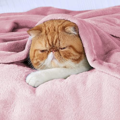 Image of Harleen Blankets, 250 GSM Super Soft Flannel Cozy Blankets for Single Bed, Washable Lightweight Blanket for Couch Sofa Bed Office, Warm Plush Blankets for All Season (Dark Pink, Double)