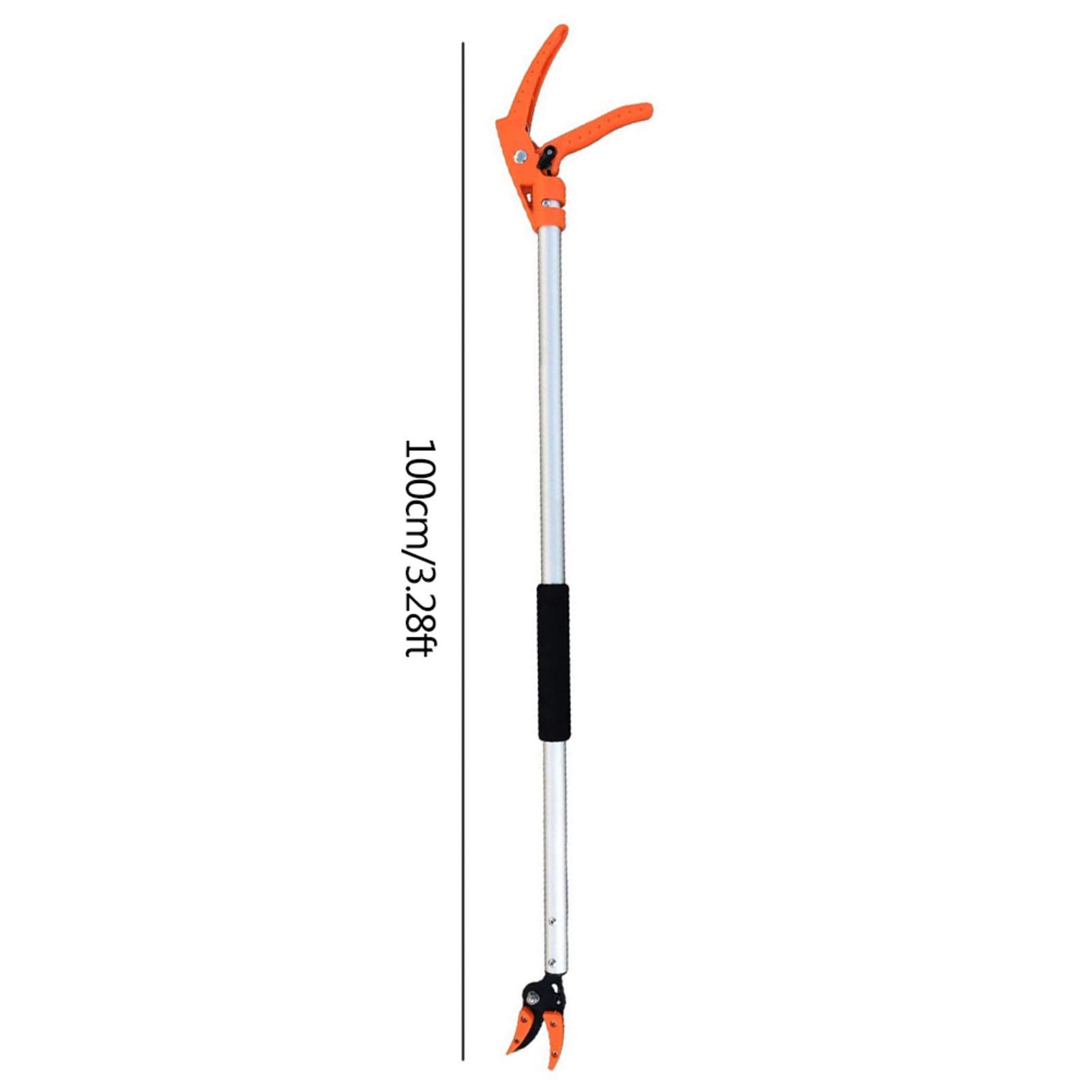 Tijeras de podar de mango largo para ramas de árbol, podadora larga y práctica para recolector de frutas para caqui de manzana, 80 cm/1 m