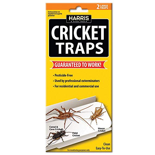 Harris Cricket Glue Traps, (2-Pack) #TOP27
