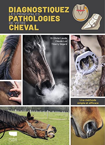 Diagnostiquer les principales pathologies de votre cheval: Une méthode simple et efficace