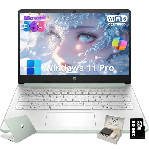 HP (GC`s[) 2025 14C` m[gp\R w&rWlXp Intel(Ce) NAbhRA N150 CPU 16GB RAM 384GB Xg[W (128GB UFS+256GB SDJ[h) 1N Office 365 y