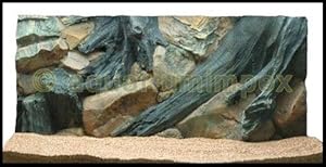 Aquariumimpex 3D Aquarienrückwand 80x40 Root Wurzel