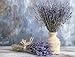Dried Lavender 2 Bunches 100% Fresh Natural Purple Bouquet Flowers for Bathroom Photo Props Crafts Decoration, 15-17