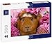 Lais Puzzle porcellino d'India con Fiori Rosa 500 Pezzi