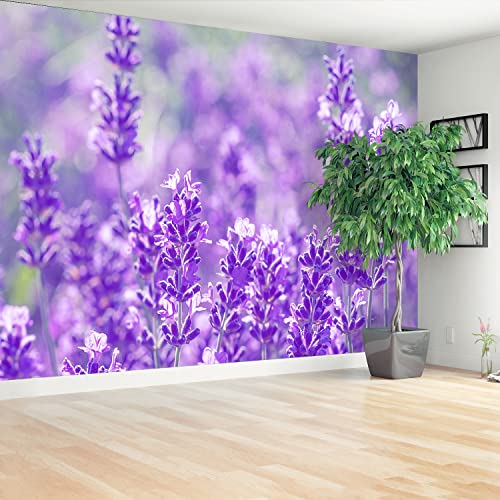 Papier peint moderne Tulup 312x219cm lavande violette pour la maison