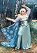 Frozen Elsa Plus Size Costume | Officially Licensed Disney Princess Premium Womens Outfit 4X