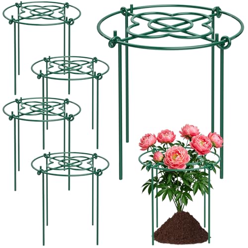 cyrico Peony Cages and Supports 5 Pack 12 x 16 Heavy Duty 3.5mm Metal Peony Stakes with 4 Legs Rust-Proof Grow Through Plant Support Hoops Outdoor Garden Flower Support Rings for Heavy Blossoms