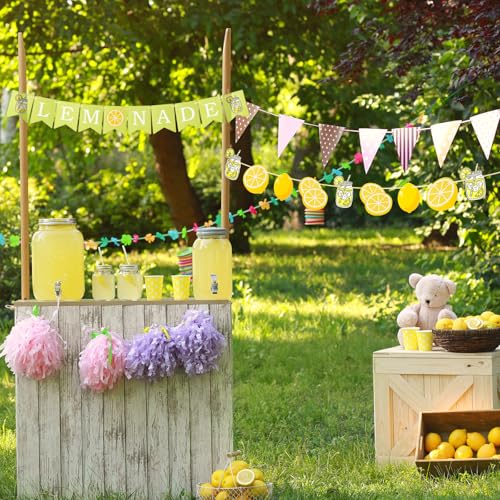 Image of Lemonade Banner for Lemonade Stand Decorations, Lemon Garland Sign Summer Lemon Party Decorations Lemonade Party Supplies Decor