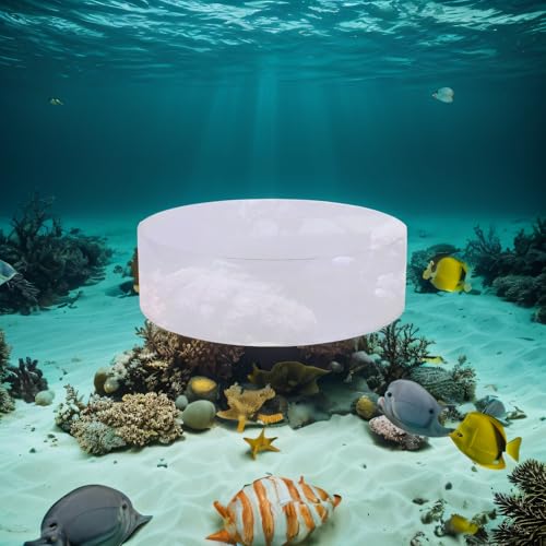 Image of TOPINCN Aquarium Viewer, Fish Acrylic Observe Lense for Marine Aquarium Reef (150mm)