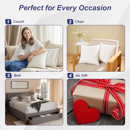 50% Off 20x20 Hypoallergenic Pillow Inserts Set of 2