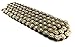 Chain (Razor Dirt Rocket MX500 MX650 SX500)