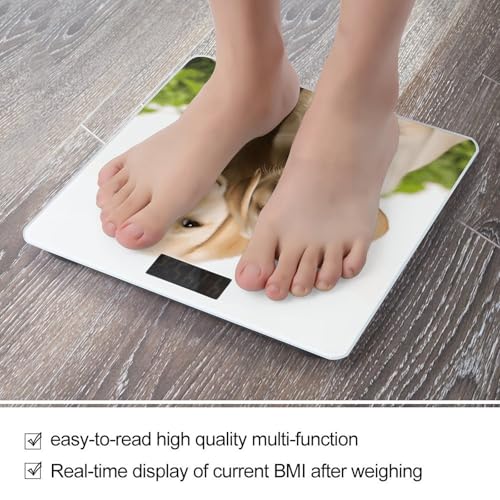 Báscula digital para baño con diseño de cachorro labrador miniatura 5