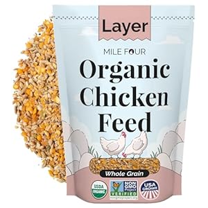 Organic Chicken Feed – Layer Whole Grain, Non-GMO, USA Grown, 16% Protein, Corn-Free, Soy-Free, Non-Medicated Feed for Chickens, 2 lb Sample