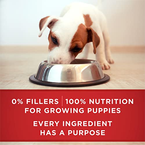 Purina ONE Plus Wet Puppy Food Classic Ground Healthy Puppy Lamb and Long Grain Rice Entree - 13 oz. Cans (Pack of 24) - image 7
