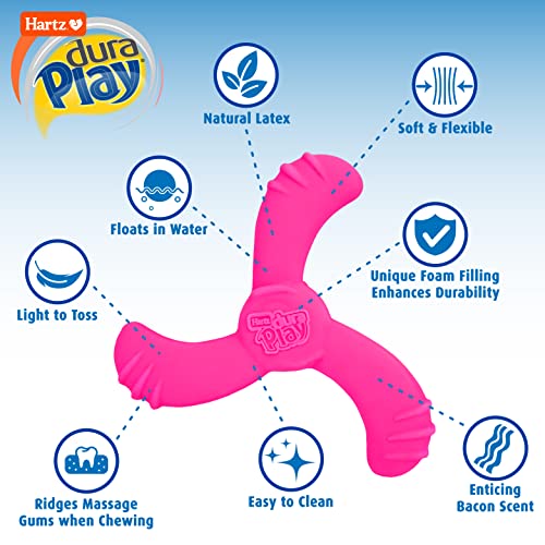 Juguete para perros Hartz DuraPlay con aroma a bacon, mediano/grande pack x2 miniatura 2
