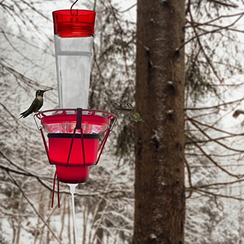 List of Top Ten Best Heated Hummingbird Feeder Top Picks 2023 Reviews