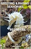 Breeding & Raising Seahorses for Beginners