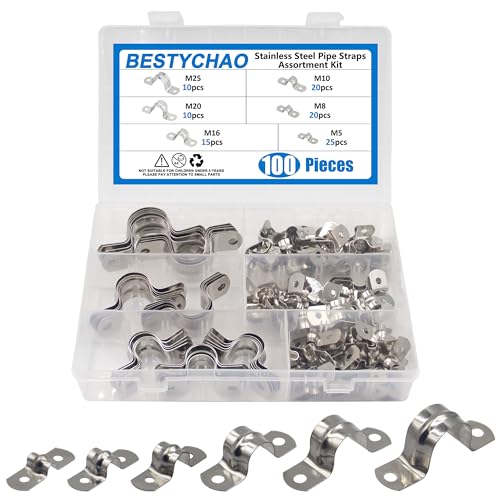 BESTYCHAO Assortiment de 100 colliers de serrage en acier inoxydable 304 pour sangle de tuyau, clips de selle M5 M8 M10 M16 M20 M25 à deux trous